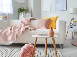 FB_IMG_1732735619735